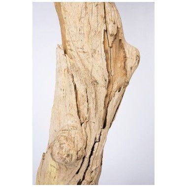 UNIQUE TREE BRANCH FLOOR LAMP NATURE STRAIGHT KARE DESIGN