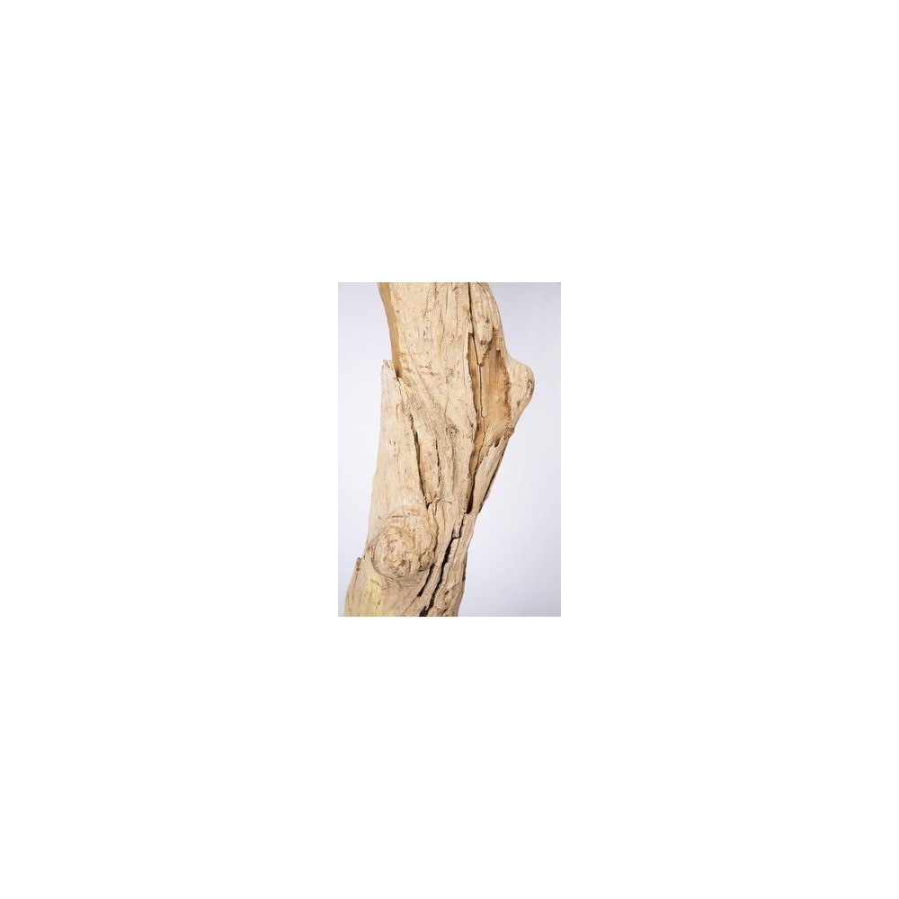 KARE Design NATURE Stehlampe mit Baumast 150 cm