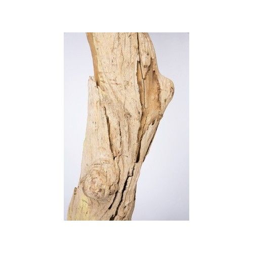 Lampada da terra NATURE ramo d’albero KARE Design 150 cm