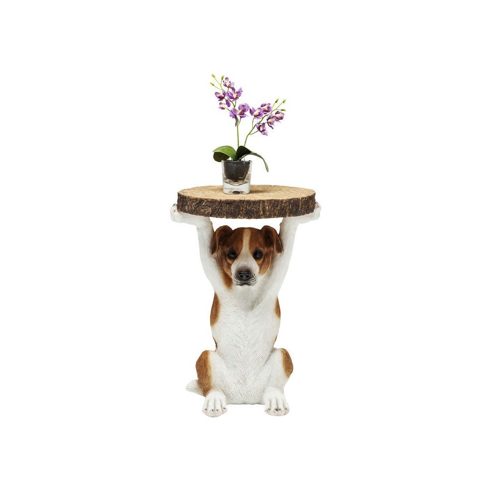 Jack Russel Sr. Jack Mesa