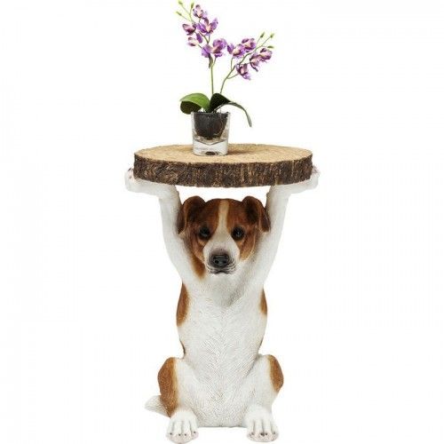 Jack Russel Sr. Jack Mesa