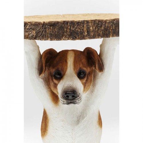 Jack Russel Sr. Jack Mesa