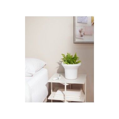 Porta plantada brilhante ora 2