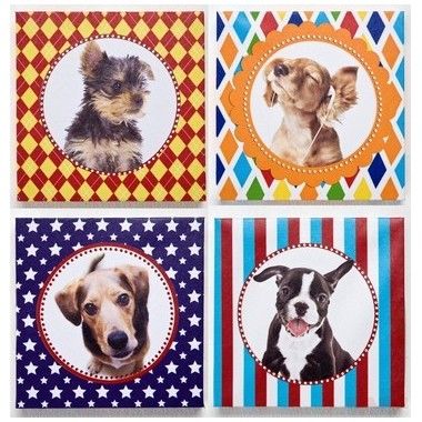 Conjunto de 4 quadros de cães multicoloridos