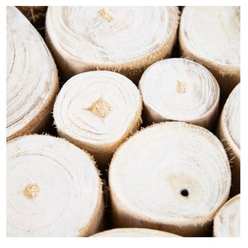 Runder Couchtisch aus weißem Holzstamm 90 cm SUZUKO