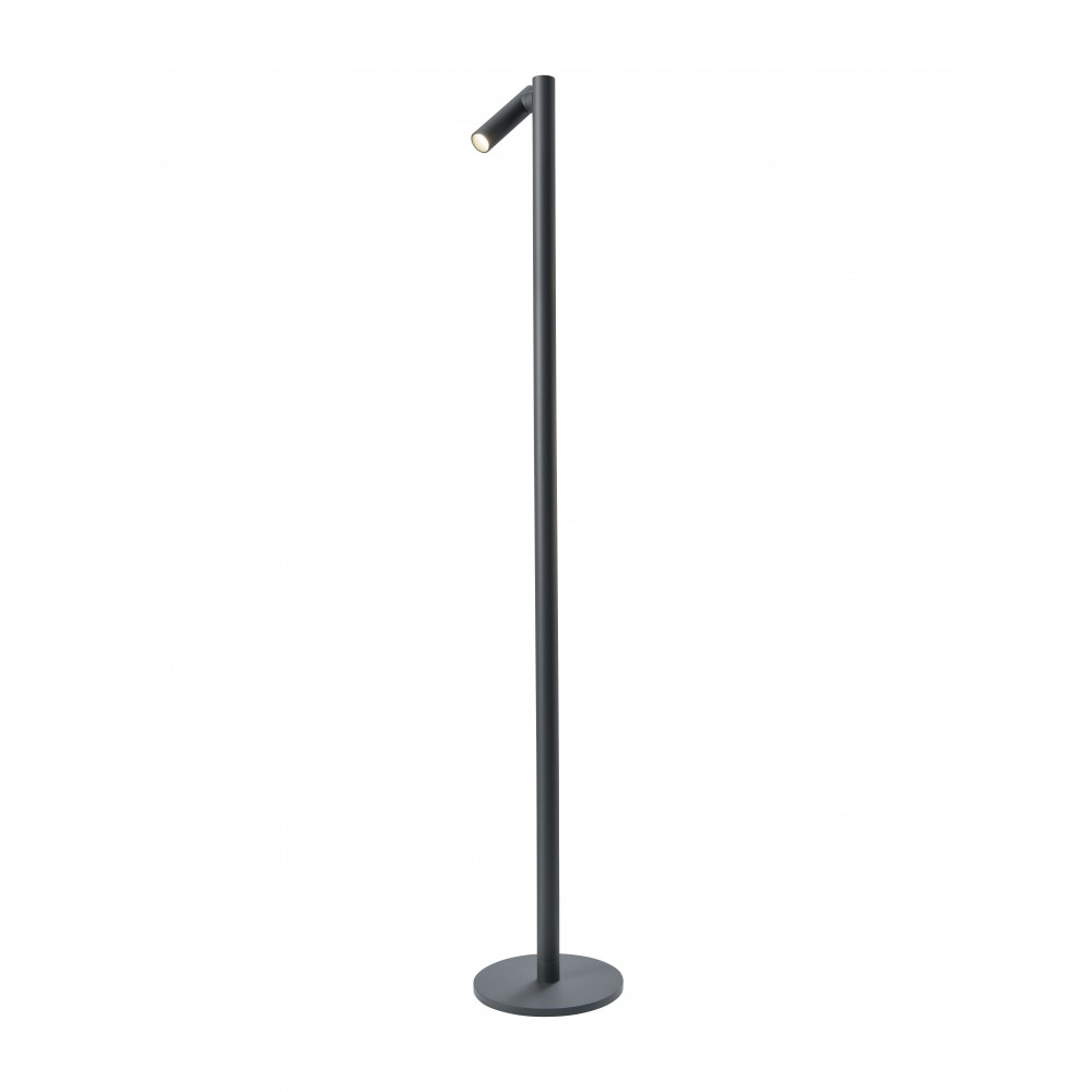 Antracite da lâmpada de assoalho 120 cm Tubo