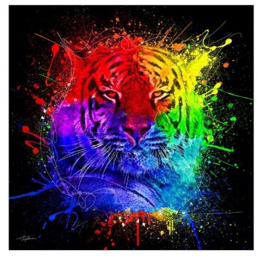 Tableau Alu Dibond Tigre Multicolore 90x90 - Socadis TA5725 - Loft Attitude