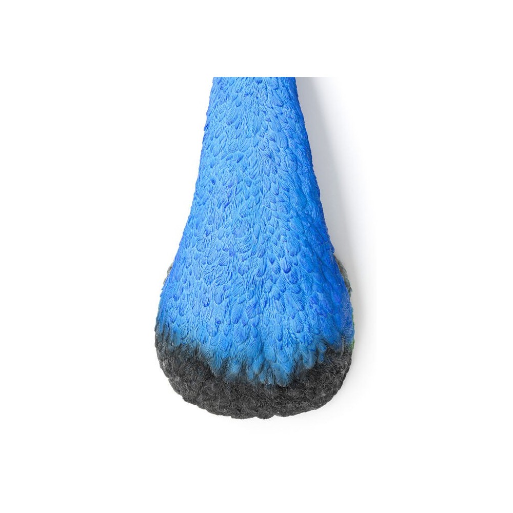 Decoração de parede PAON pavão azul KARE Design — detalhe da plumagem colorida
