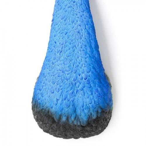 Wall decoration PAON blue peacock KARE Design — colourful plumage detail