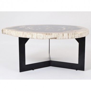 Petrified wood coffee table height 40 cm INCOGNITO