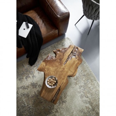 Mesa de centro ASPEN teca maciça e pés de aço preto KARE Design — com planta decorativa 2