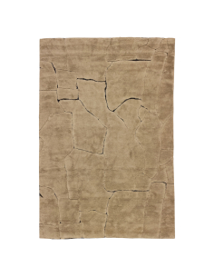 Tapis Bhawan brown 200x300