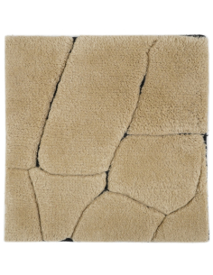 Tapis Bhawan brown 200x300 2