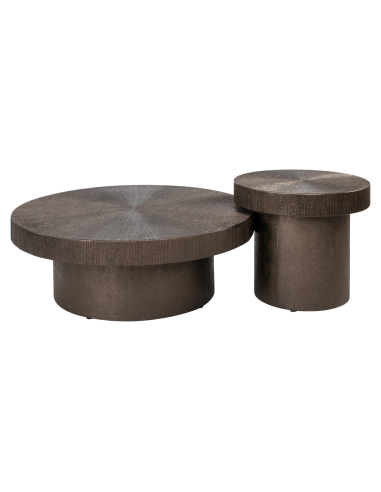 Lindo Bronze Coffee Table (Set of 2)