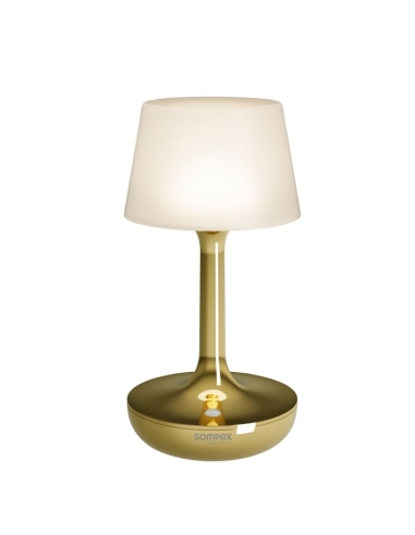 GINN gold Sompex – cutout view