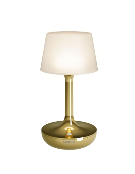 GINN gold Sompex – freigestellte Ansicht