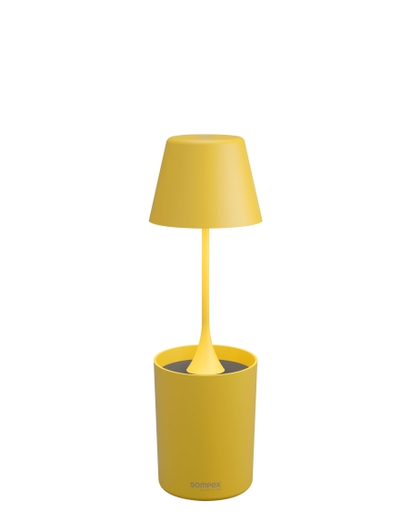 PEEKY amarilla Sompex – vista aislada