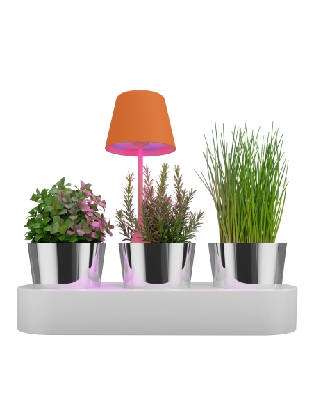 PEEKY orange Sompex – mise en situation fabricant