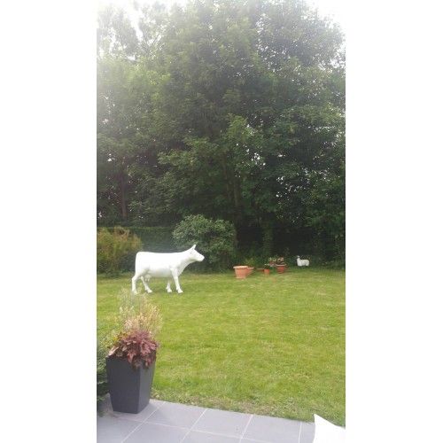 Decorative sized white nature swivel 